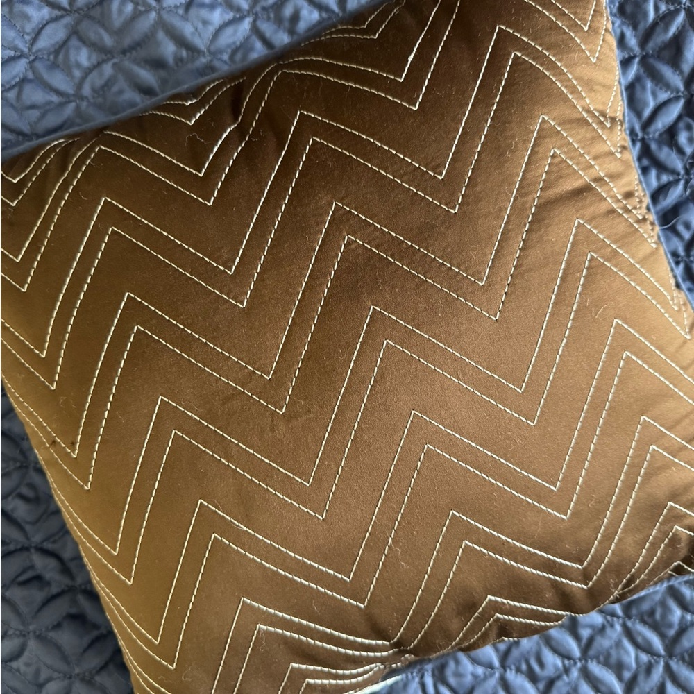 Home Classics Bed Throw Pillow and Matching Sham Blue Brown Silky Like New